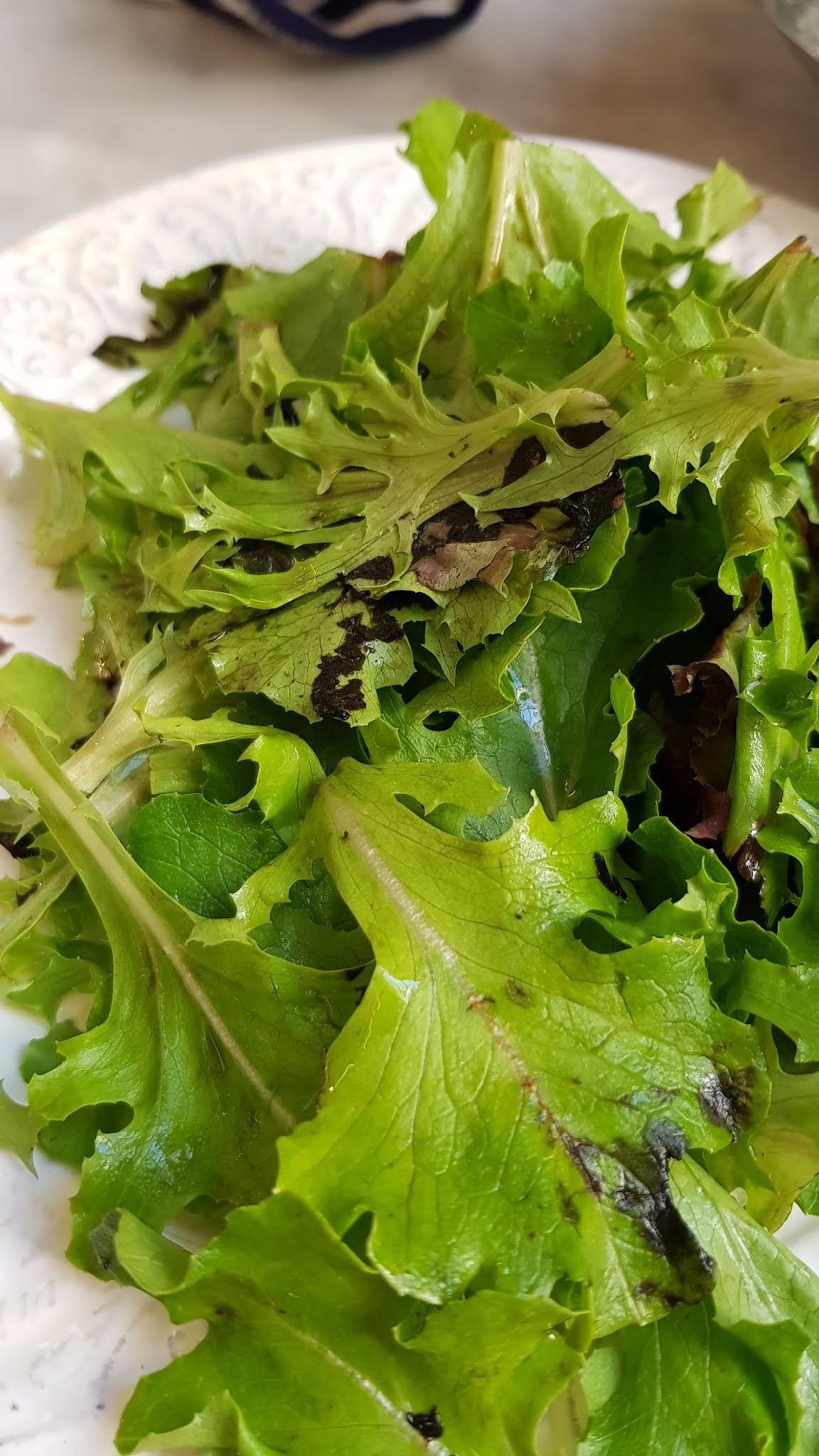 Photo n° 2 de l'avis de Pascal.r fait le 23/06/2018 à 13:58