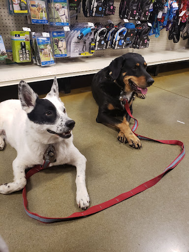 Pet Supply Store «PetSmart», reviews and photos, 6050 Peachtree Pkwy, Norcross, GA 30092, USA