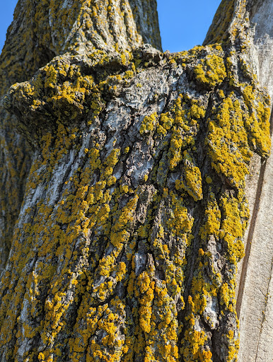 Nature Preserve «Bode Lake», reviews and photos, Bode Rd, Streamwood, IL 60107, USA