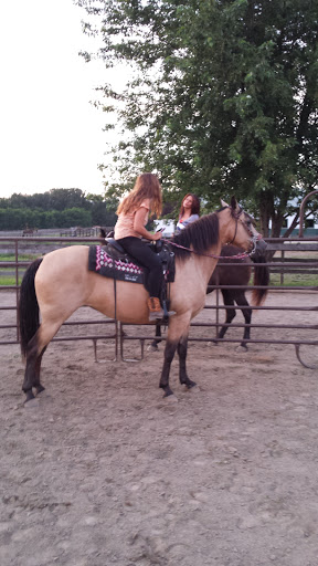 Horse Boarding Stable «Crown Haven Center», reviews and photos, 5282 County Rd W 250 S, Russiaville, IN 46979, USA