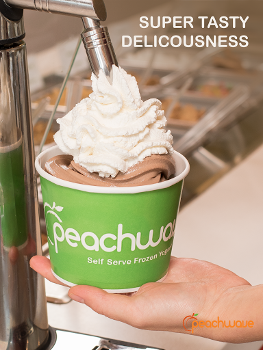 Frozen Yogurt Shop «Peachwave Frozen Yogurt & Gelato», reviews and photos, 6 W 8th St, Holland, MI 49423, USA