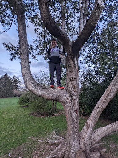 Park «Memorial Park», reviews and photos, 580 Valley St, Maplewood, NJ 07040, USA