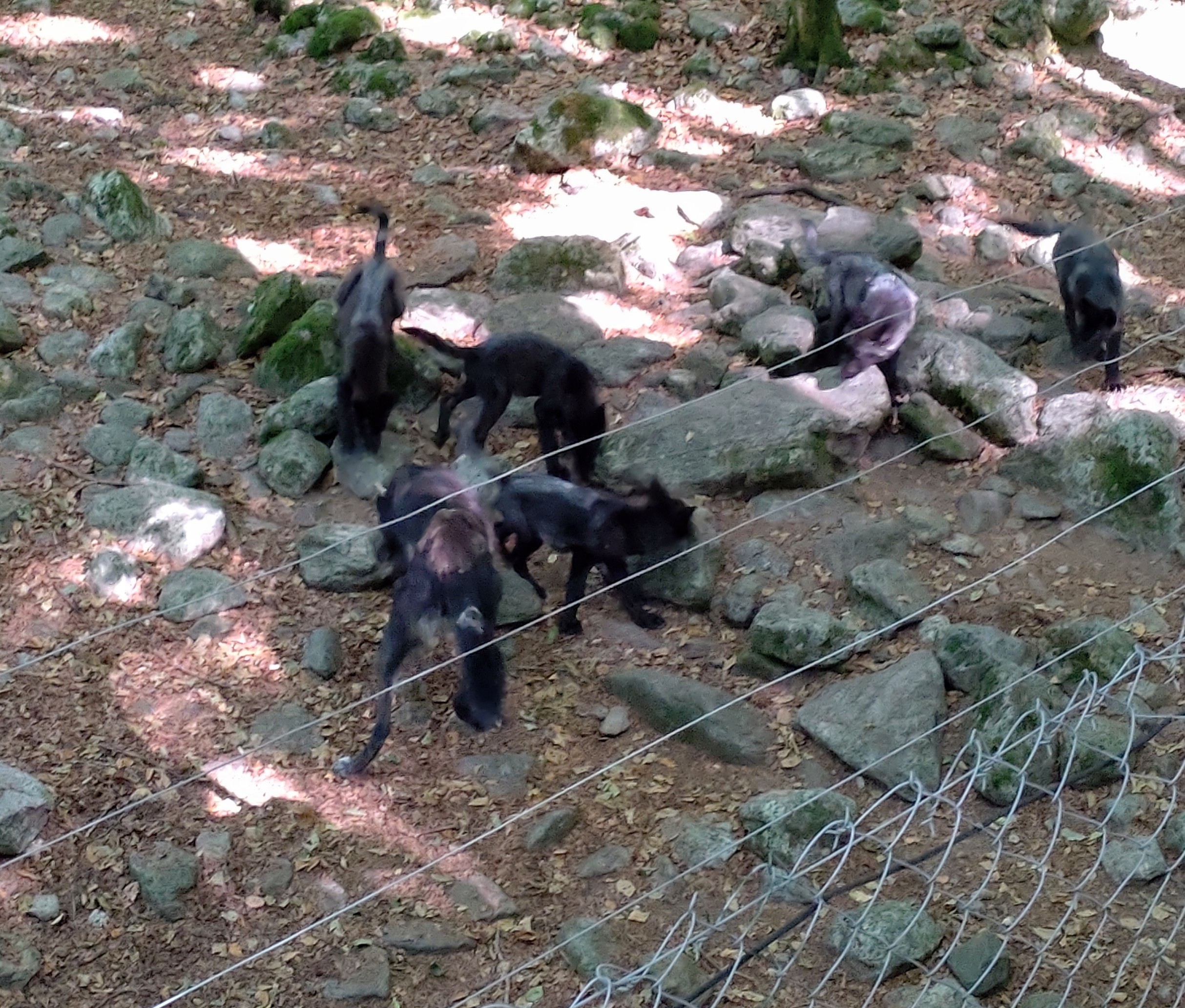 Photo n° 7 de l'avis de Christine.u fait le 11/08/2022 à 10:08