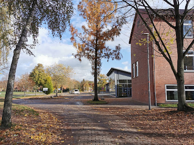 Grundschule Schwarmstedt - Wilhelm-Röpke-Schule Am Schloonberg 7, 29690 Schwarmstedt, Deutschland