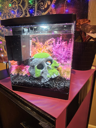 Explore tattoo ideas father, creative tattoo ideas in Beaverton, available at In The Mix Tattoo Studio LLC