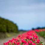Photo n° 1 de l'avis de marie.h fait le 08/04/2018 à 03:07 pour La Foir'Fouille à Boé