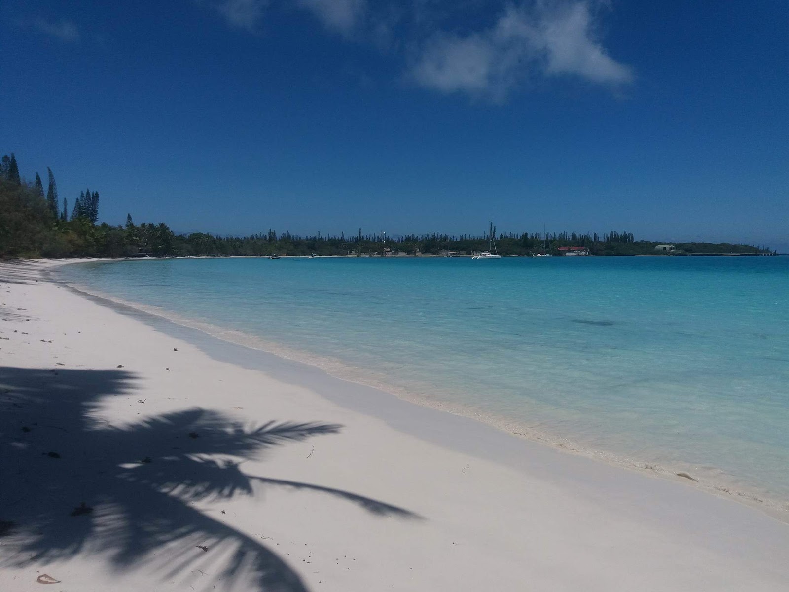 Foto af Kuto Strand og dens smukke landskab