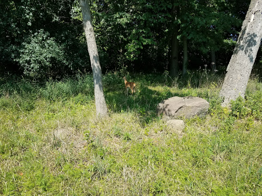 Golf Course «New Berlin Hills Golf Course», reviews and photos, 13175 W Graham St, New Berlin, WI 53151, USA