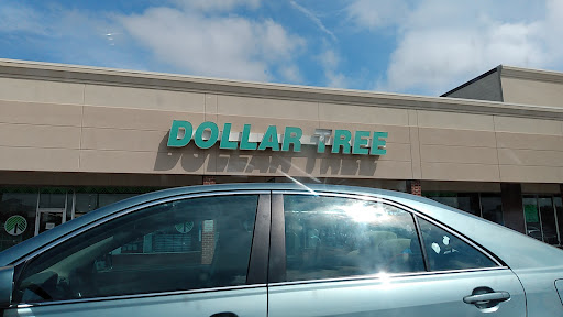 Dollar Store «Dollar Tree», reviews and photos, 4072 Lakeland Ave N, Robbinsdale, MN 55422, USA