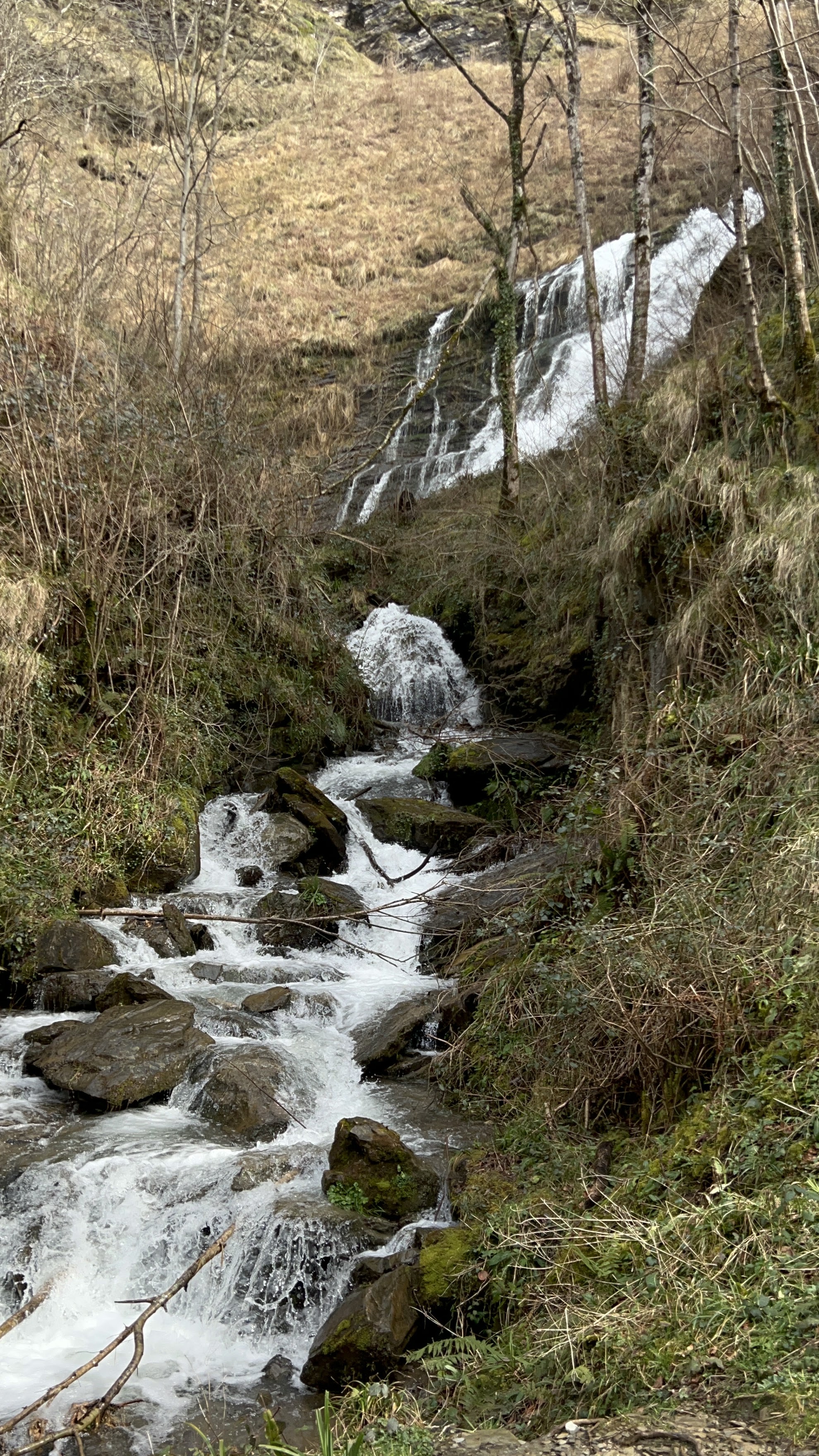 Photo n° 2 de l'avis de Zvi.l fait le 02/03/2024 à 18:24