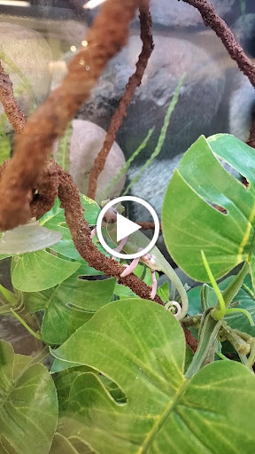 Pet Supply Store «Petco Animal Supplies», reviews and photos, 1320 E Lincoln Way p101, Sparks, NV 89434, USA