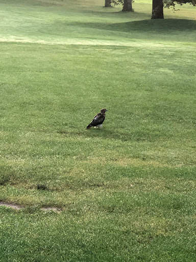 Golf Course «Kissena Park Golf Course», reviews and photos, 164-15 Booth Memorial Ave, Fresh Meadows, NY 11365, USA