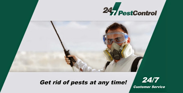 Comments and reviews of 24/7 Pest Control