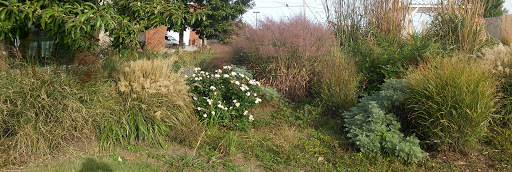 Non-Profit Organization «City Union Mission», reviews and photos