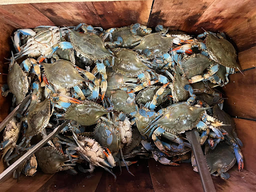 Supermarket «Oriental Supermarket», reviews and photos, 5465 I-55, Jackson, MS 39206, USA