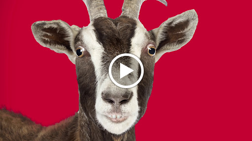 Pet Supply Store «Mounds Pet Food Warehouse», reviews and photos, 8311 University Ave, Middleton, WI 53562, USA