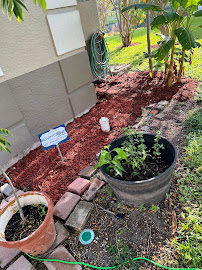 Lux Landscape Plus Corp - Photo 5 - Car repair in , Kissimmee