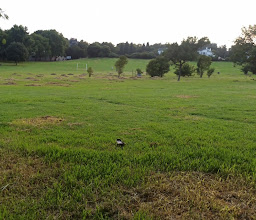 Hugh Wyndham Park photo