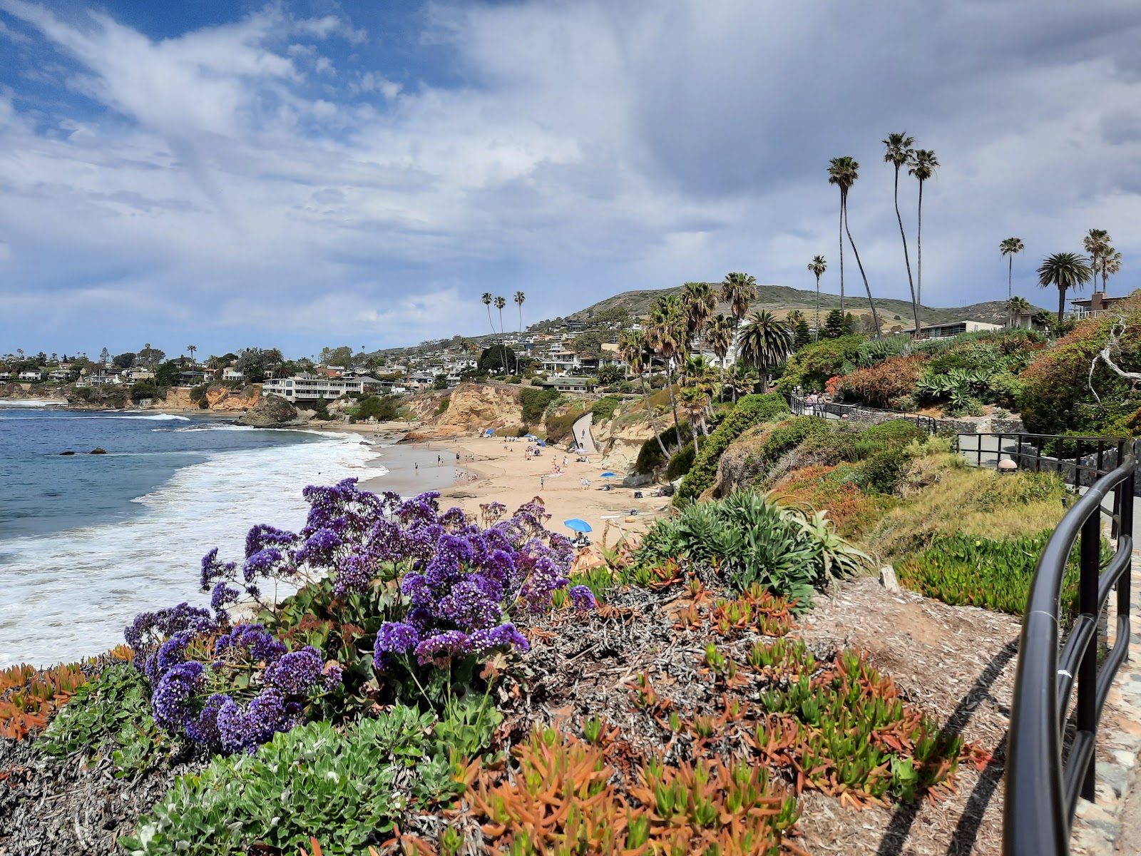 Diver's Cove photo #8