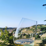 Photo n°6 de l'avis de Wine.i fait le 27/08/2021 à 09:28 sur le  Villa Monty Banks à Cesena