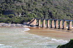 Kaaimans River beach'in fotoğrafı #43 ile birlikte