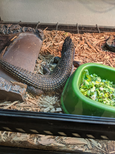 Animal Feed Store «Russell Feed & Supply», reviews and photos, 1312 NW Pkwy St, Azle, TX 76020, USA