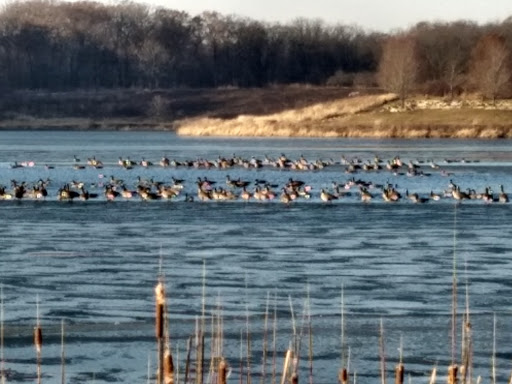 Nature Preserve «Independence Grove Forest Preserve», reviews and photos, 16400 Buckley Rd, Libertyville, IL 60048, USA