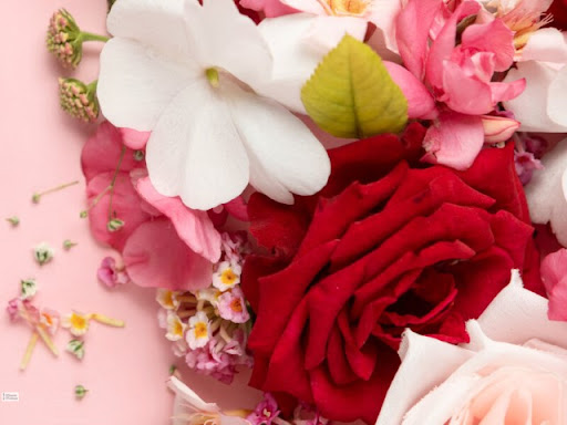 Florist «Blossom Boutique Florist», reviews and photos, 611 Pottstown Pike, Exton, PA 19341, USA