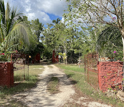 Los 7 Cenotes San Gerónimo Oficina (Desarrollo se encuentra a 80 minutos de Merdia) photo