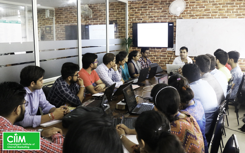 CIIM - Digital Marketing Course in Chandigarh