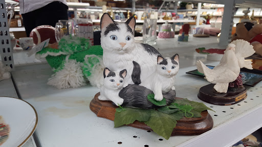 Thrift Store «Savers», reviews and photos