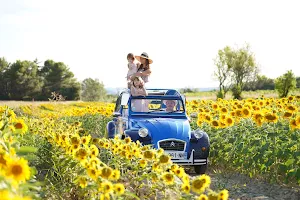 Oh My Deuche Hire 2cv In Luberon And Routes En Provence image