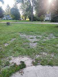 TruGreen Lawn Care - Photo 3 - Car repair in Ypsilanti, MI, Ann Arbor