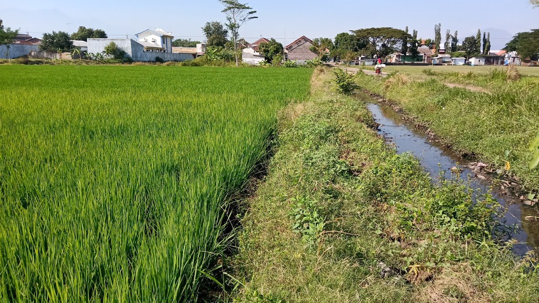 Taman Orizya Pajarakan