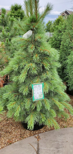 Garden Center «Lilydale Garden Center», reviews and photos, 941 Sibley Memorial Hwy, St Paul, MN 55118, USA