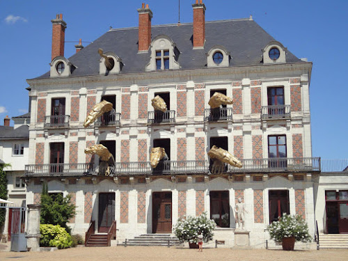 Agence de visites touristiques Blois Expériences Visites - Blois Conseil Blois