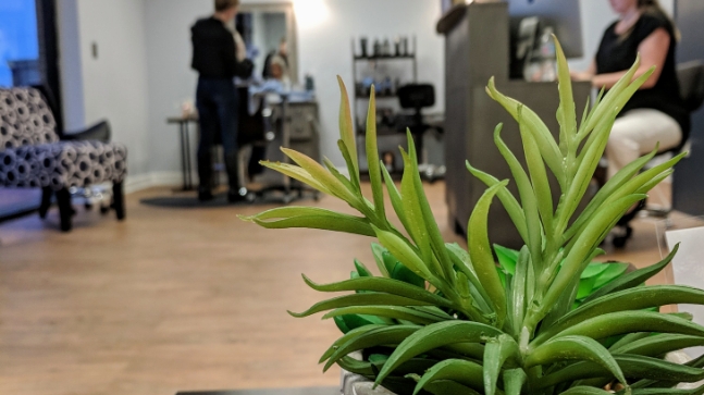 Ederra Salon 22901