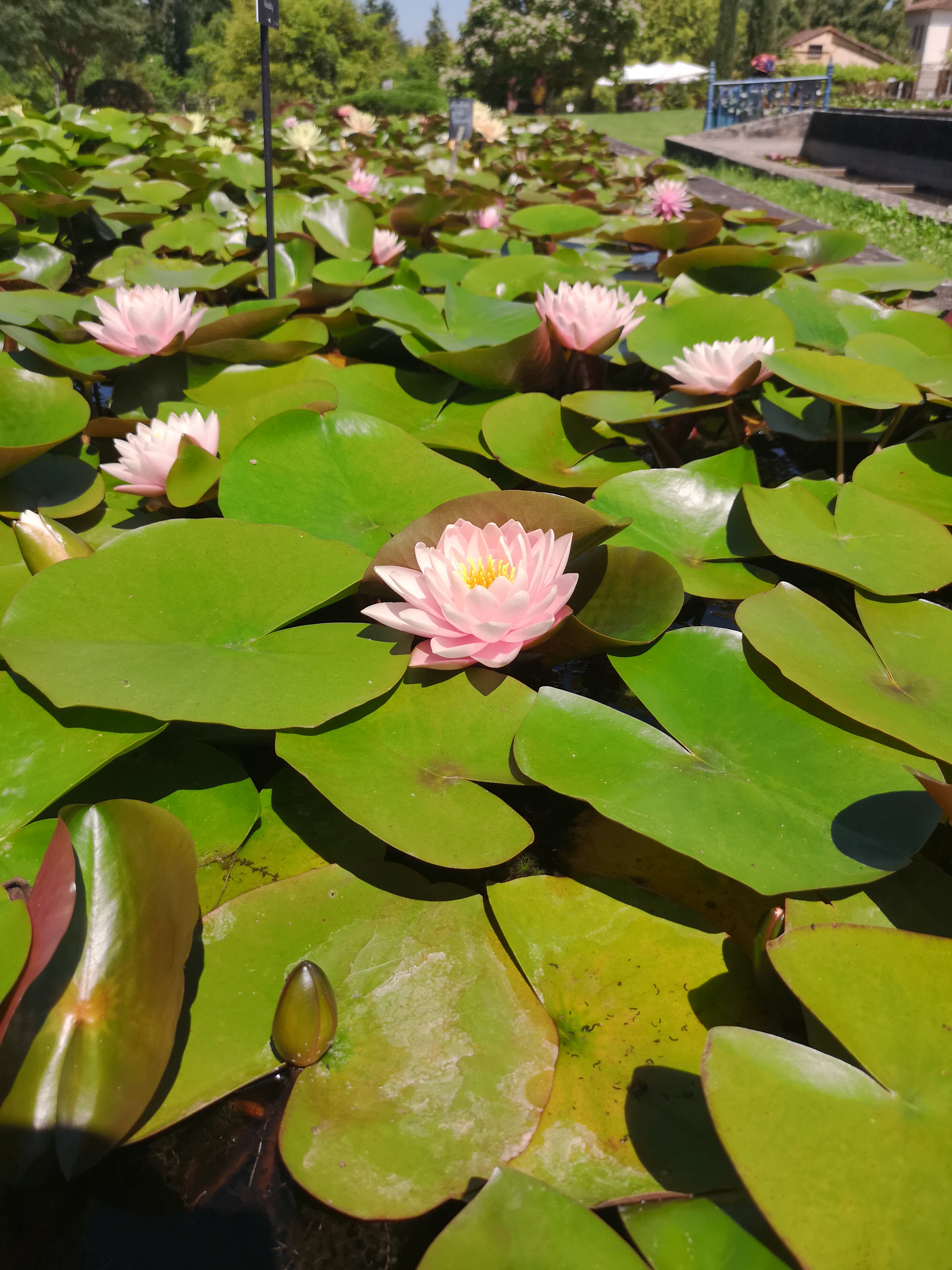 Photo n° 2 de l'avis de Sarah.. fait le 07/07/2018 à 13:25