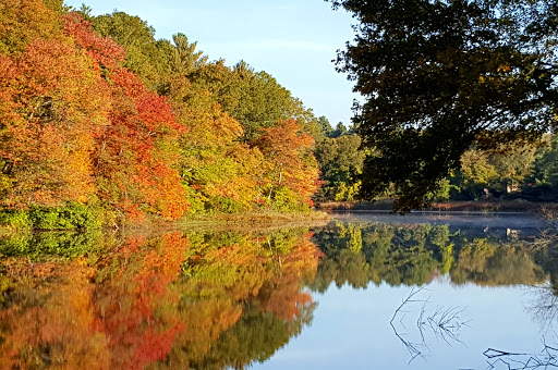 Park «D.W. Field Park», reviews and photos, D W Field Pkwy, Brockton, MA 02301, USA