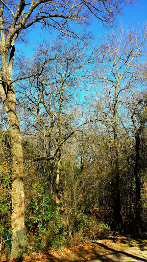 Health Insurance Agency «Blue Cross and Blue Shield of Texas», reviews and photos