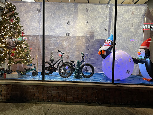 Bicycle Store «Rochester Bike Shop», reviews and photos, 426 S Main St, Rochester, MI 48307, USA