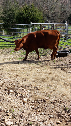 Event Venue «Old Spencer Mill», reviews and photos, 399 Old Spencer Rd, Burns, TN 37029, USA