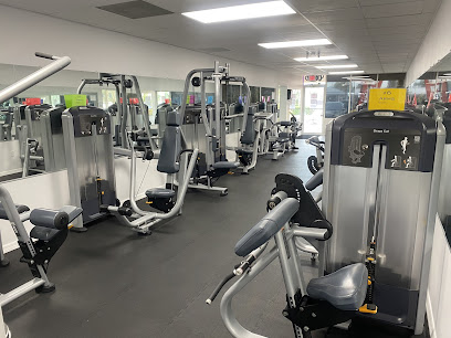 Gym - Vitruvian BodyWorks & Fitness: Circuit Gym - - 159 107th Ave, Treasure Island, FL 33706