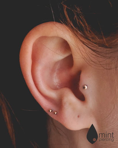 Explore tattoo filler ideas, creative tattoo ideas in Ankeny, available at Mint Piercing - Ankeny (appointment only)