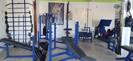 Vikingos gym - C. Estero de Ucum 354, David Gustavo, 77013 Chetumal, Q.R., Mexico