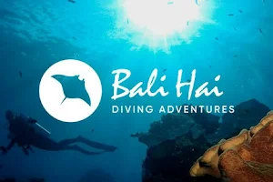 Bali Hai Diving Adventures image