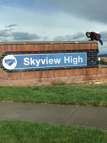 Skyview High School