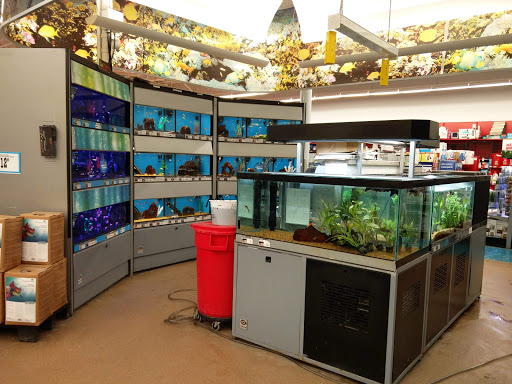 Pet Supply Store «Petco Animal Supplies», reviews and photos, 125 Lincoln Hwy, Exton, PA 19341, USA