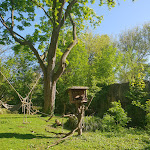 Photo n° 12 de l'avis de Delphine.I fait le 07/05/2018 à 13:41 pour Zoo d'Amiens Métropole à Amiens