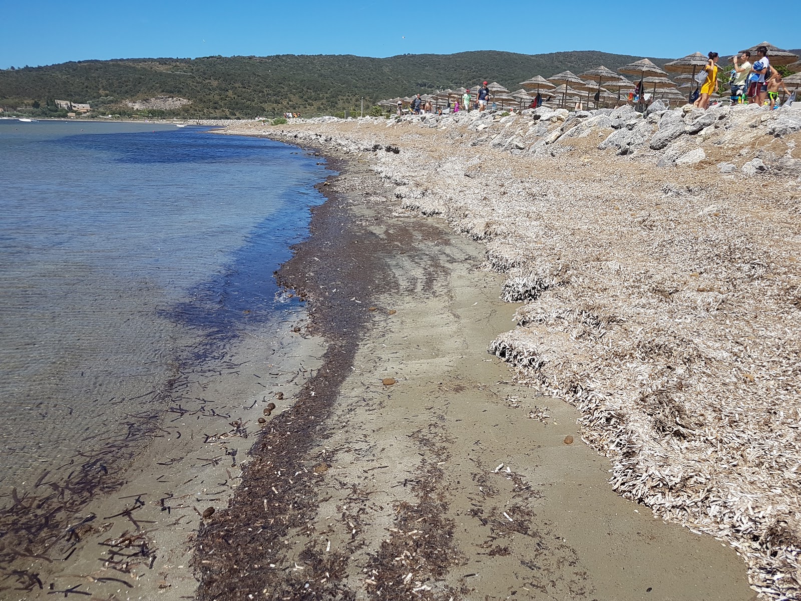 Foto de Talamone Camping Beach con gran bahía